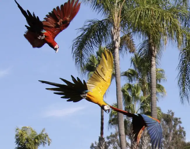 4D3N Manu Amazon Rain Forest Tour from Cusco